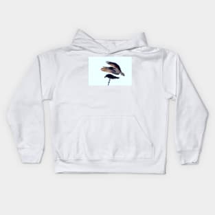 Osprey Kids Hoodie